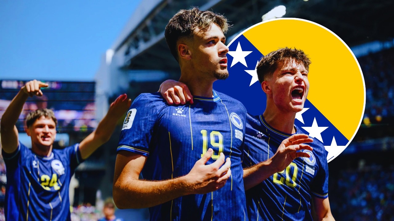 Every Bosnia & Herzegovina Goal At The World Cup 🇧🇦 - Edin Dzeko, Kerim Alajbegovic