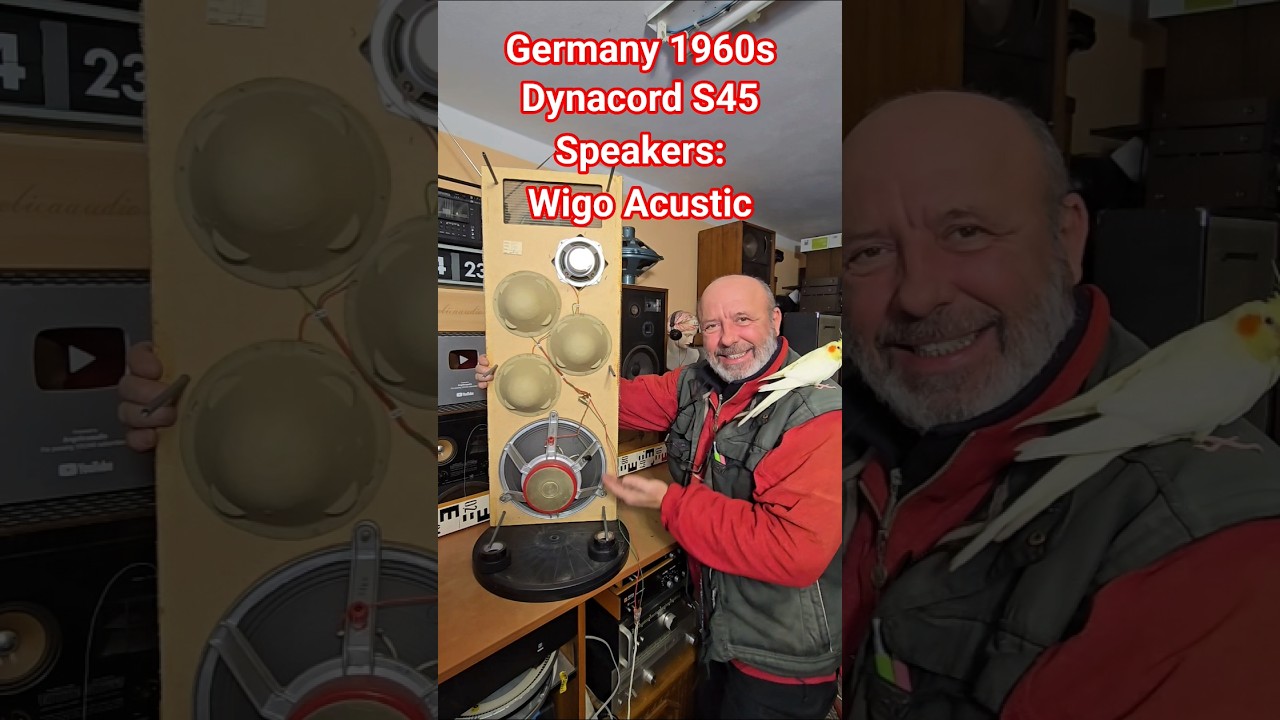 1960s Wigo Speakers: Ultimate Vintage Sound Test!