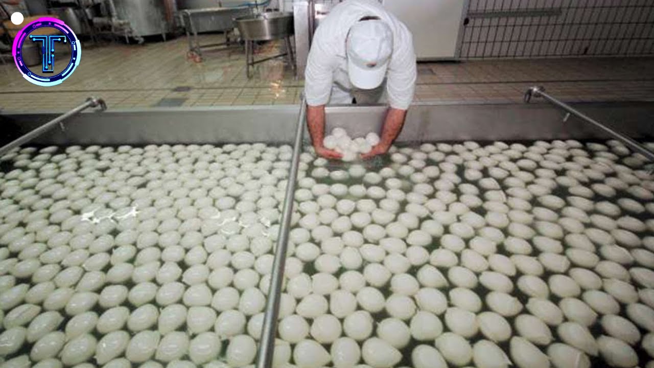 Amazing BREAD Processing -You Will Not Believe How Bread Is Made In factories