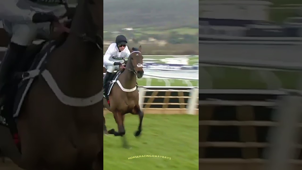 🚨NOW it's CONFIRMED His NH Career Is Over,Here's His 10th And Last EVER Win Over Hurdles.Thank You.