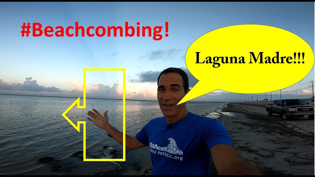 #Beachcombing - Laguna Madre