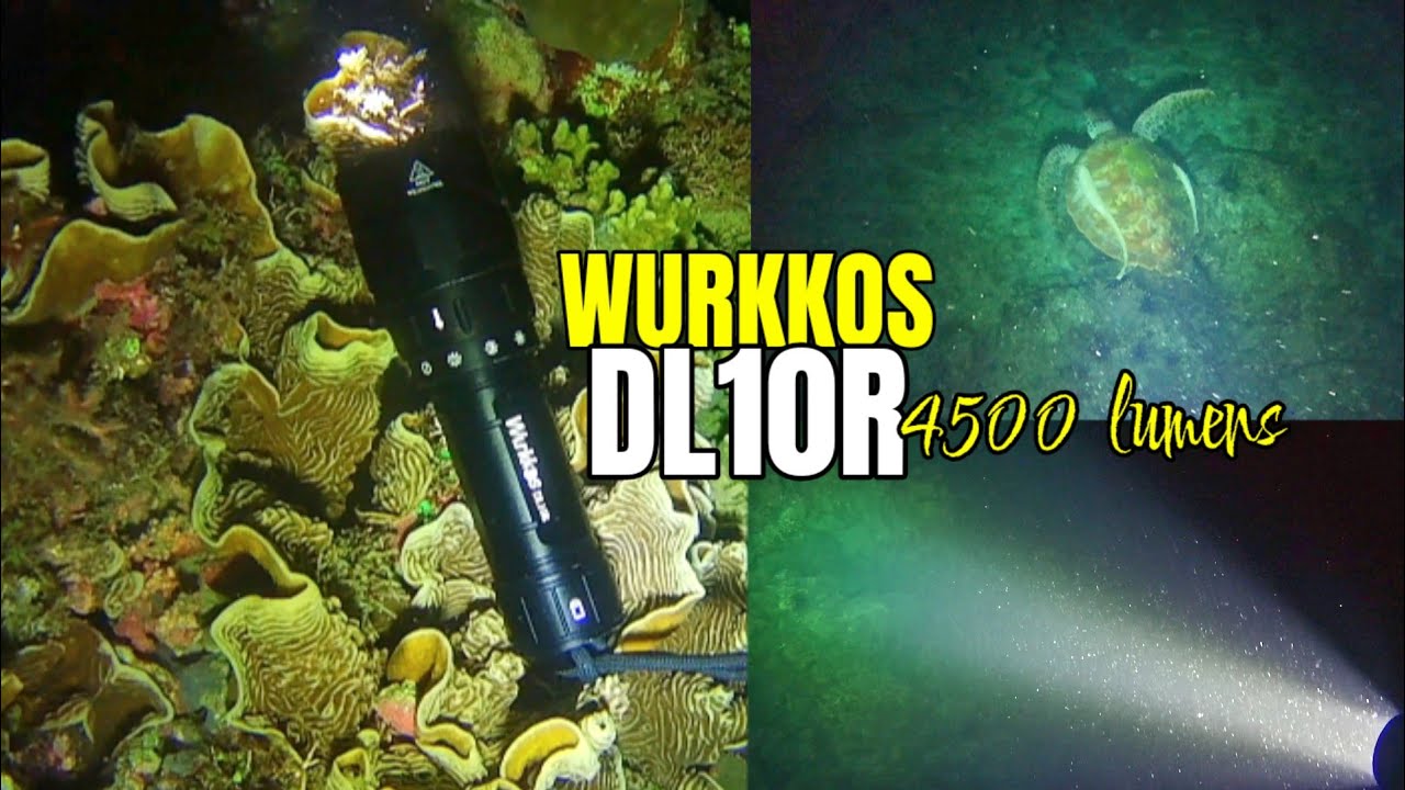 BEST BUDDY SA NIGHT SPEARFISHING| WURKKOS DL10R | Unboxing and Review