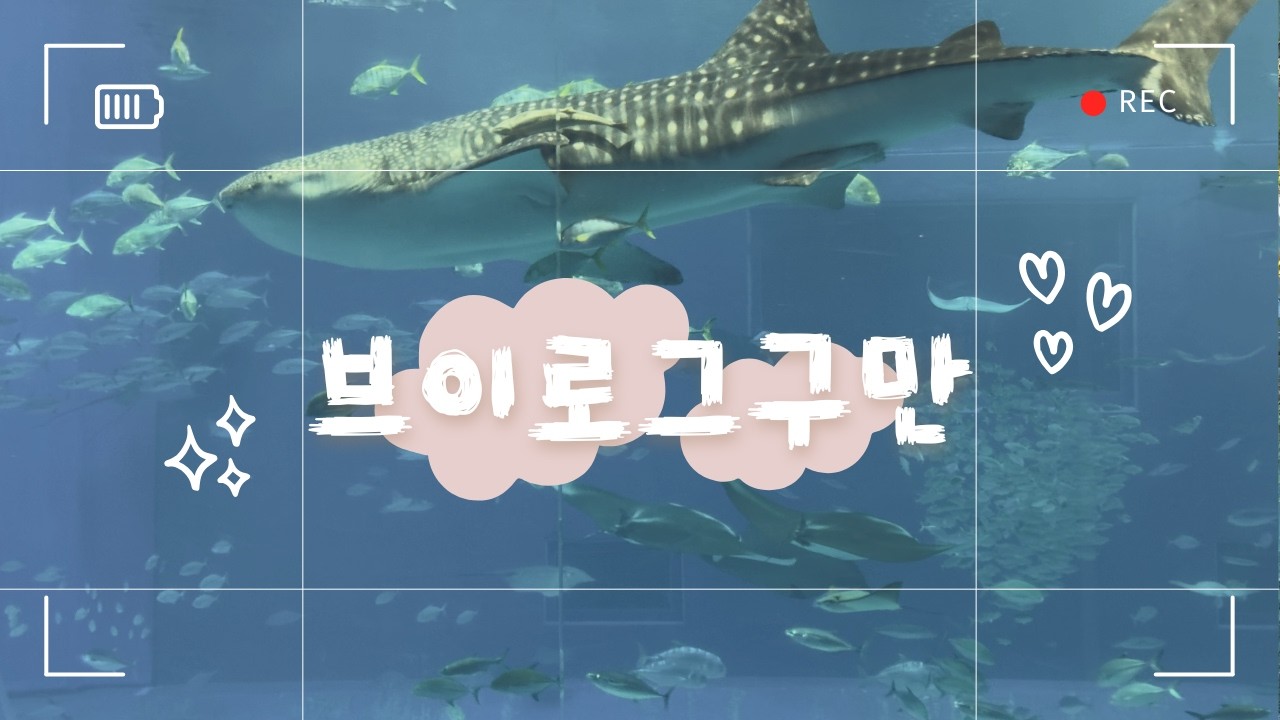 20260215 오늘의 일기