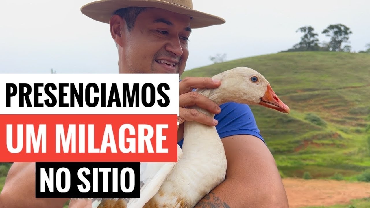 DEPOIS DE DOIS MESES PERDIDA, ELA FOI RESGATADA