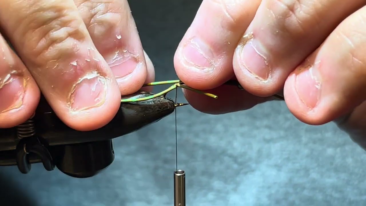 Stone fly