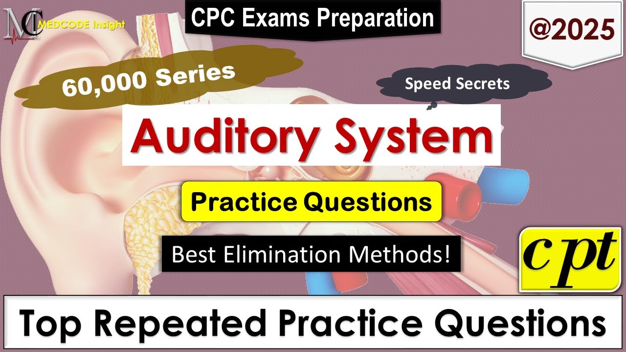 CPT Auditory System Practice Questions