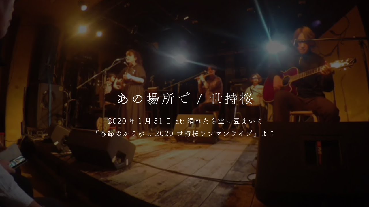 世持桜 - あの場所で【LIVE VIDEO】
