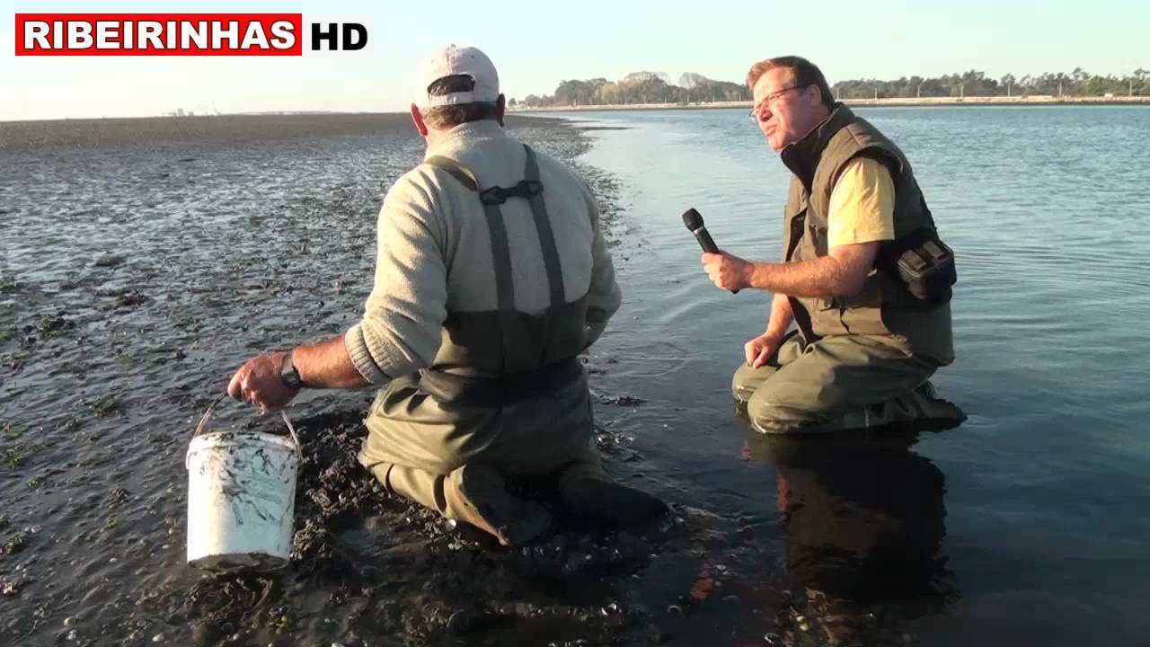 Mariscadores da Ria de Aveiro em 