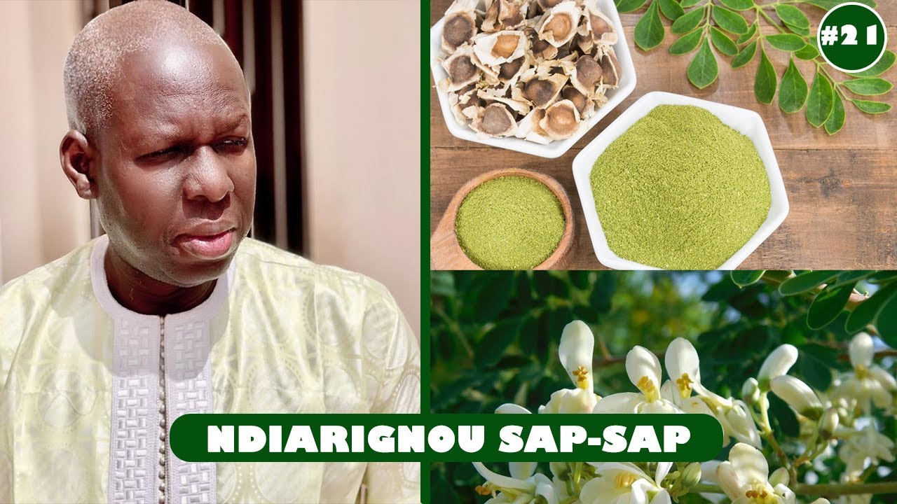 Ndiarignou sap-sap | Les nombreux bienfaits du moringa #21