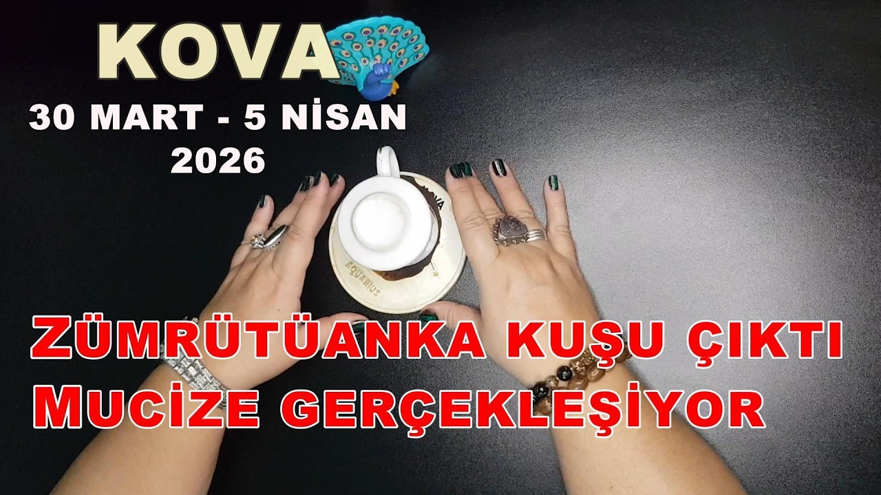KOVA BURCU 🌞Z&Uuml;M&Uuml;R&Uuml;T&Uuml;ANKA KUŞU &Ccedil;IKTI MUCİZE GER&Ccedil;EKLEŞİYOR #kahvefalı #bur&ccedil;lar