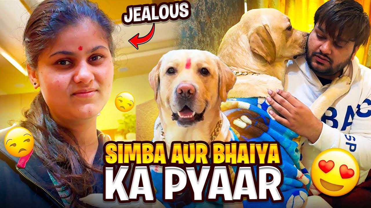 Lacha Jealous Hai Simba & Bhaiya Se 🤣