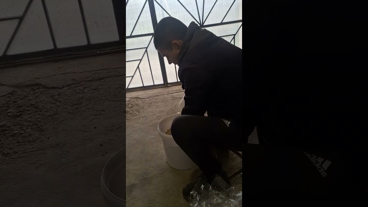 Preparare turta proteică.