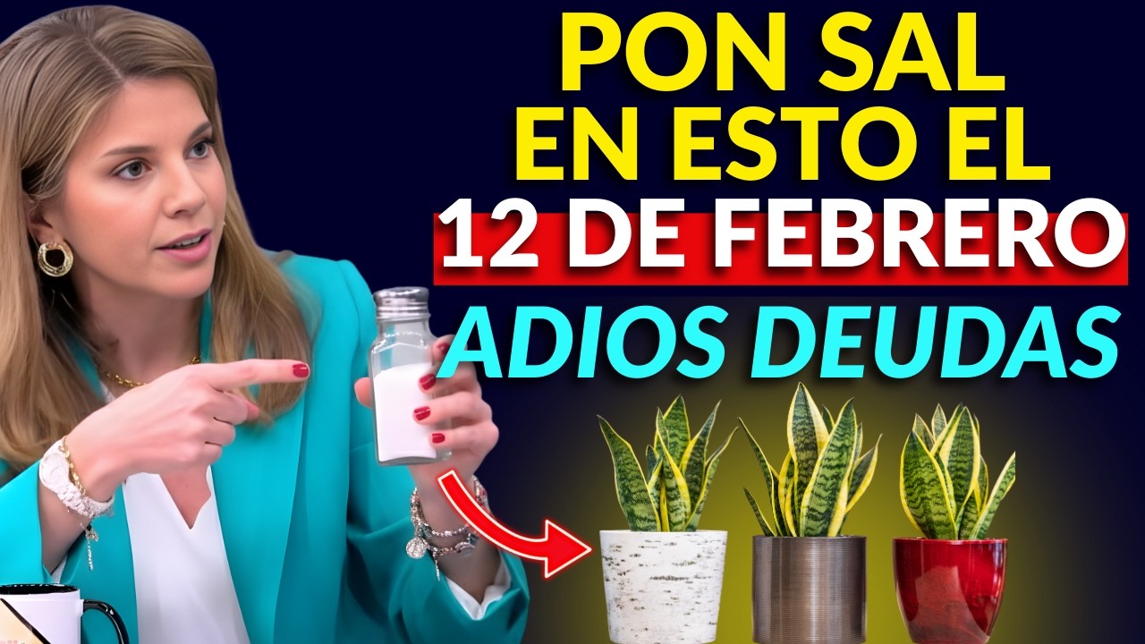 Pon sal en lengua de suegra el 8 de Febrero para atraer dinero y prosperidad | Marian Rojas Estapé