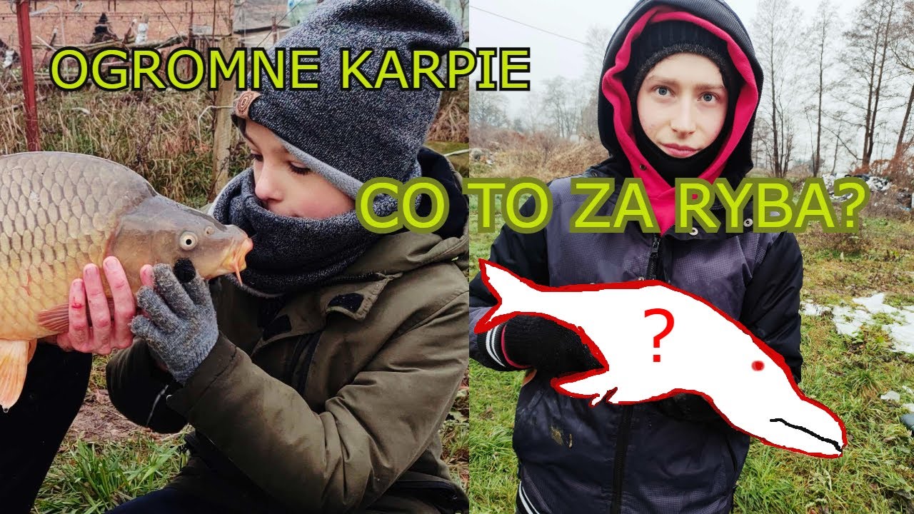 NIESPODZIEWANA RYBA?KARP 7,5KG i wiele innych!  #ryby,#wędkarstwo,#karpie