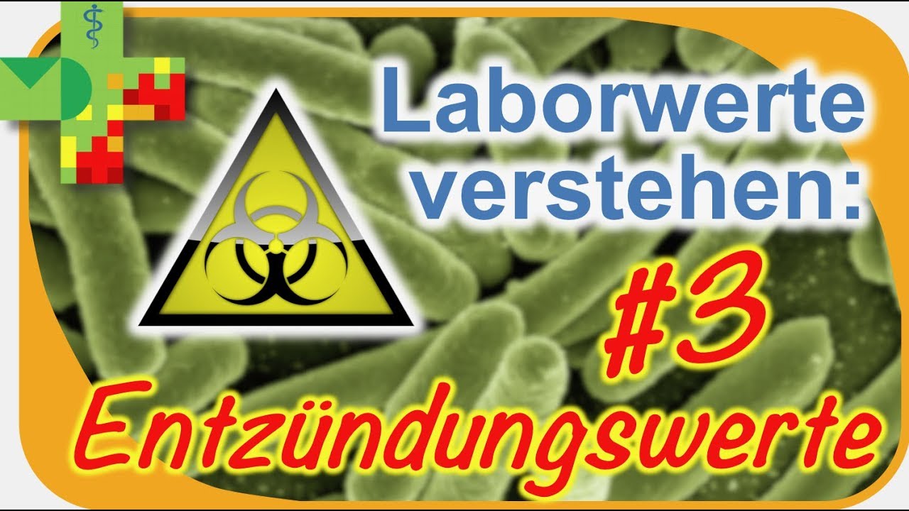 Laborwerte verstehen: #3 Entz&uuml;ndungswerte