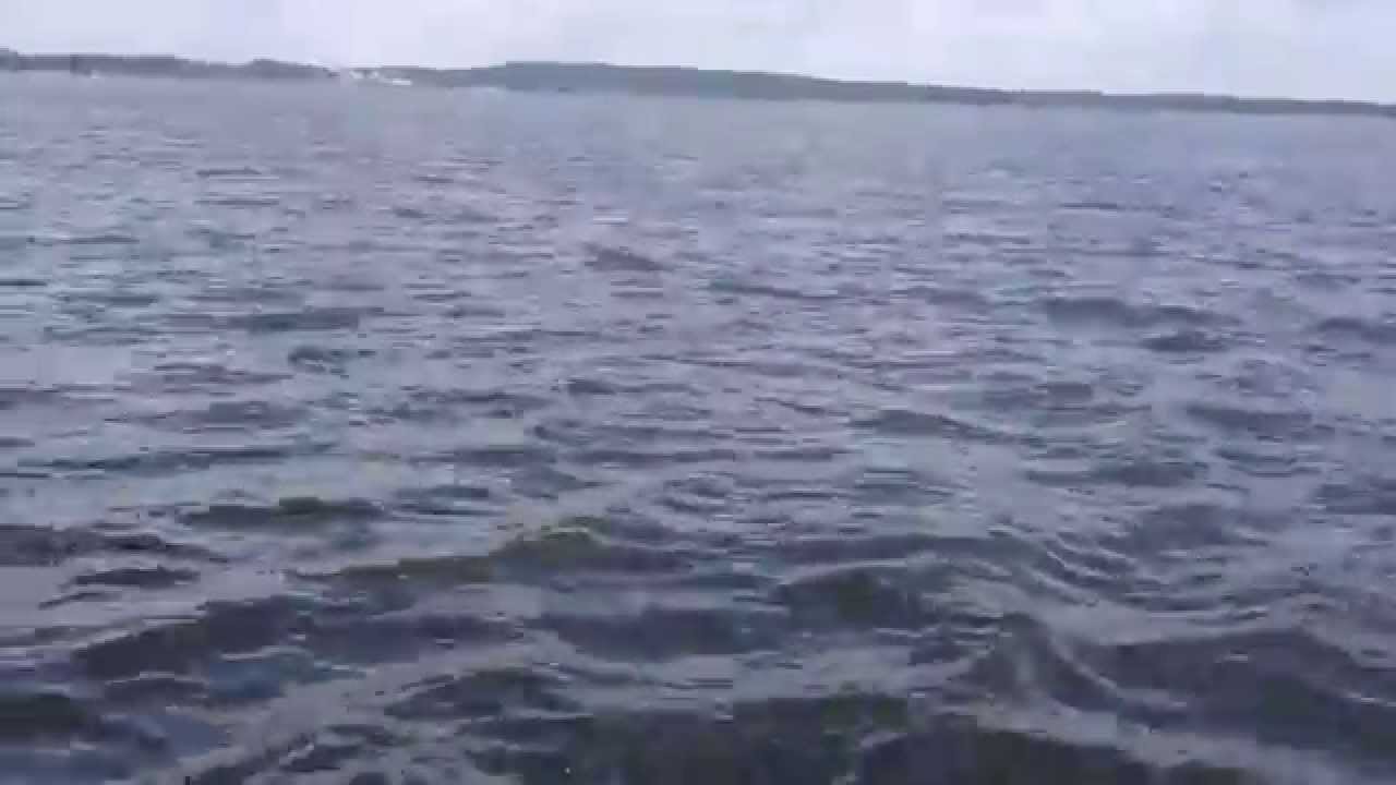 SY Edel 600 Segeln Schwielowsee