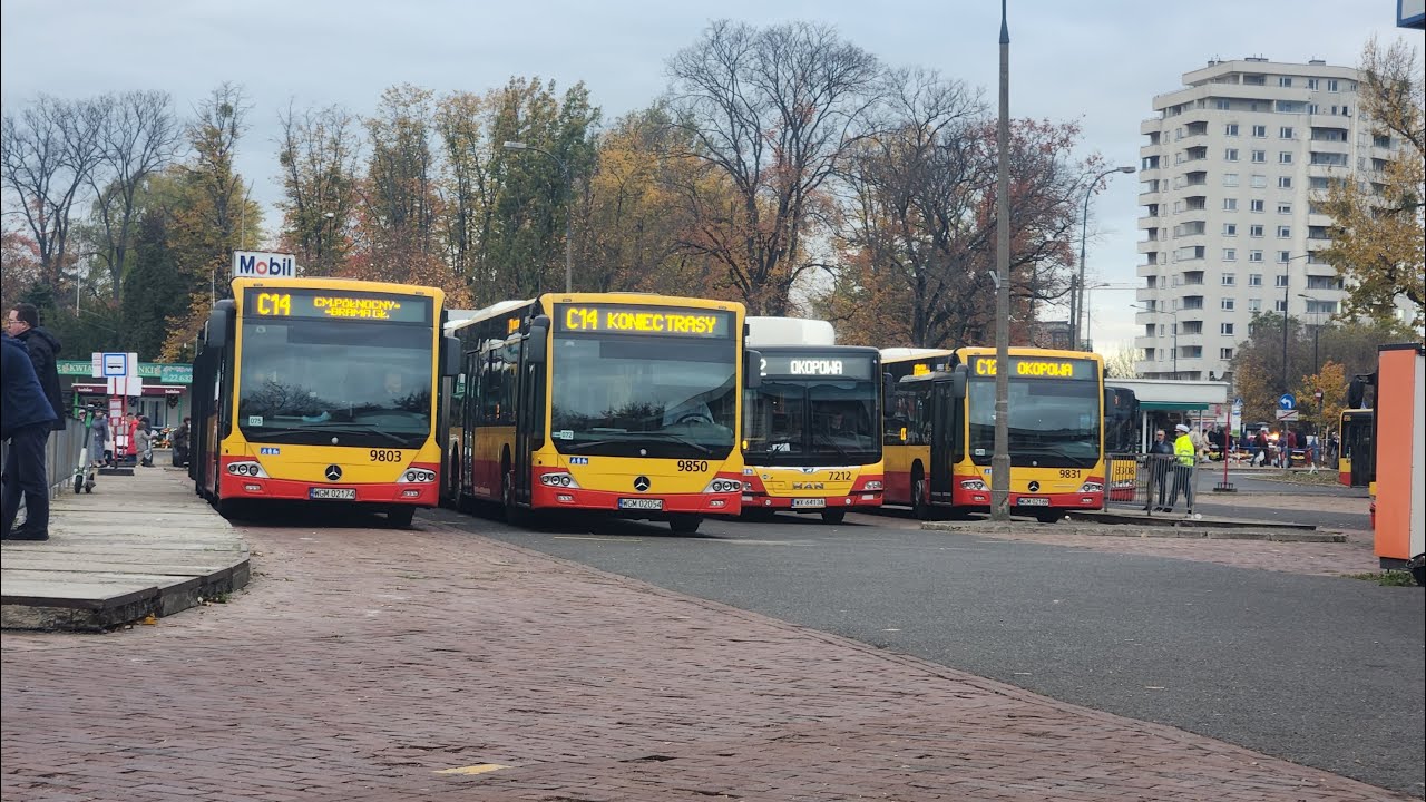 Linie Cmentarne - WSZYSTKICH ŚWĘTYCH 