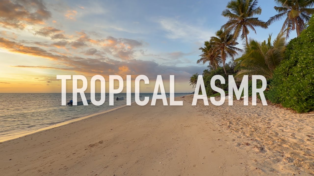 🇫🇯 Quiet Tropical Beach at Sunsrise in Fiji | Just Sand, Waves and Palm Trees