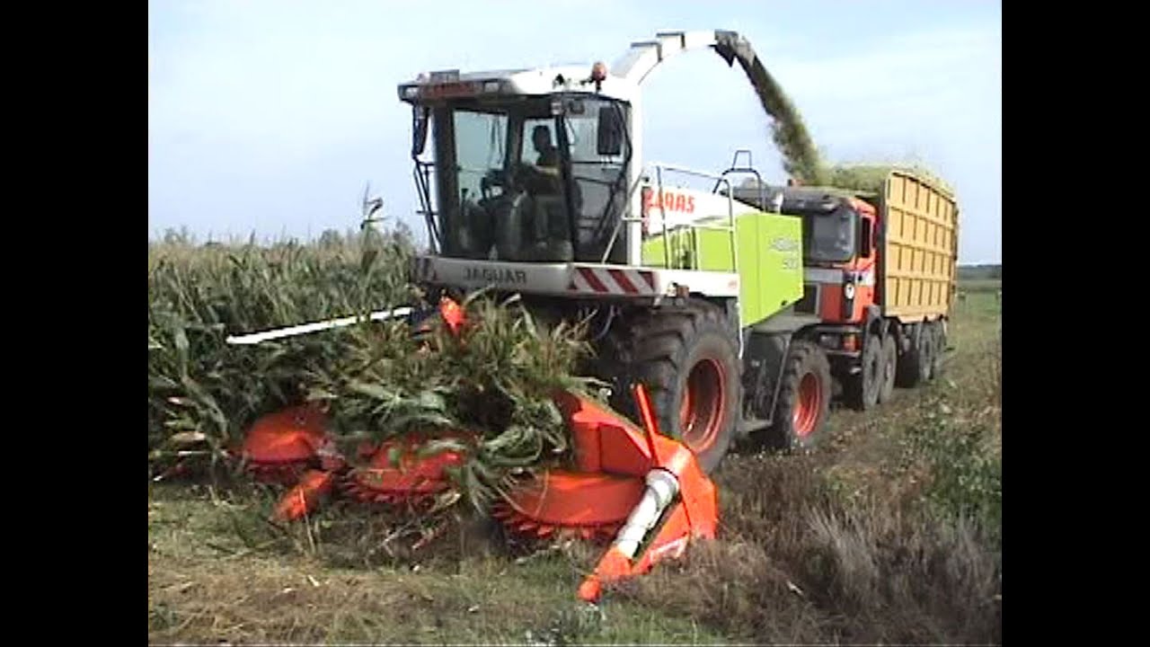 Maïs 2006 Loonbedrijf Neyt met Claas Jaguar 900,2x M.A.N 8x8,Fendt 818, Fendt 311,Kemper