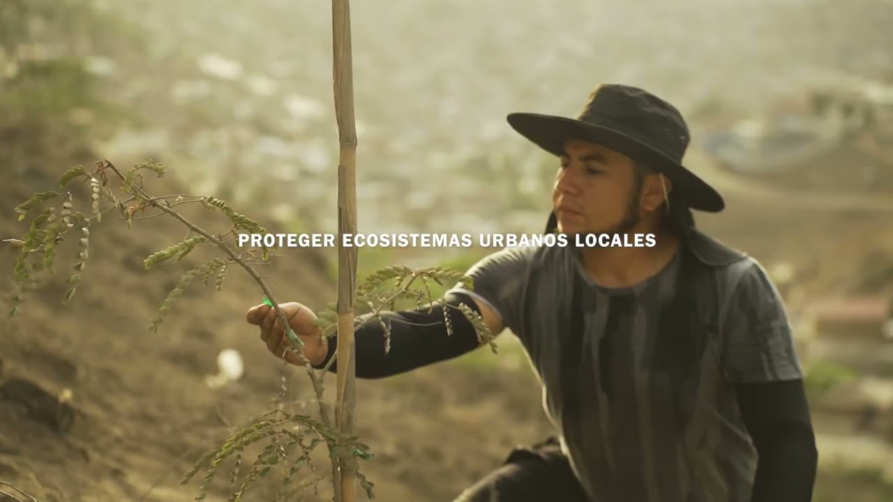 MOOC Trailer | Placemaking for Urban Ecosystems | Lima, Peru