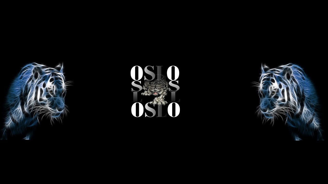 Oslo Cinematography Live Stream