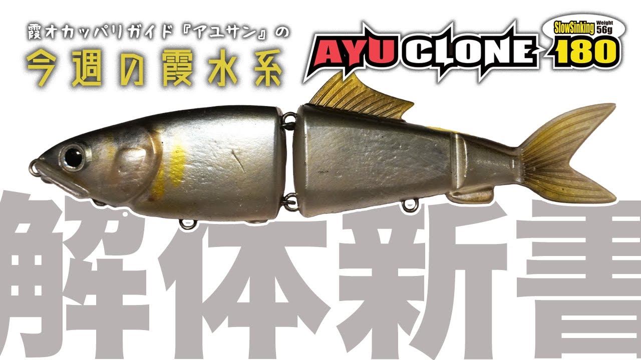 アユクローン解体新書『霞オカッパリガイド・アユサンの今週の霞水系』
