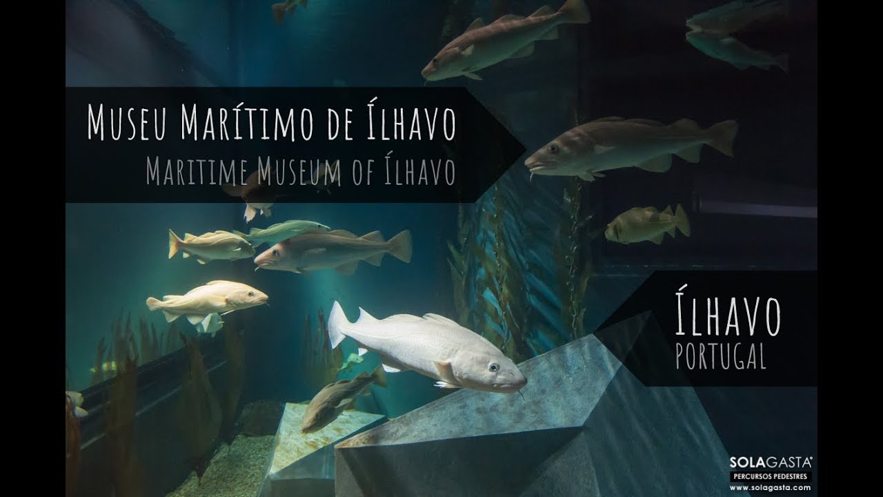 Museu Marítimo de Ílhavo (Ílhavo)