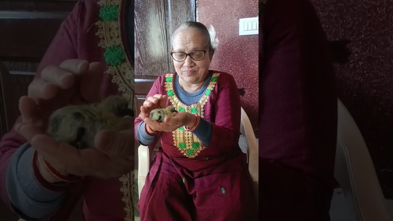 #pahadi #vlog #kumauni #life #story #uttarakhand #vlogger #vlogging #vlog  #garhwali #vlog #vlog