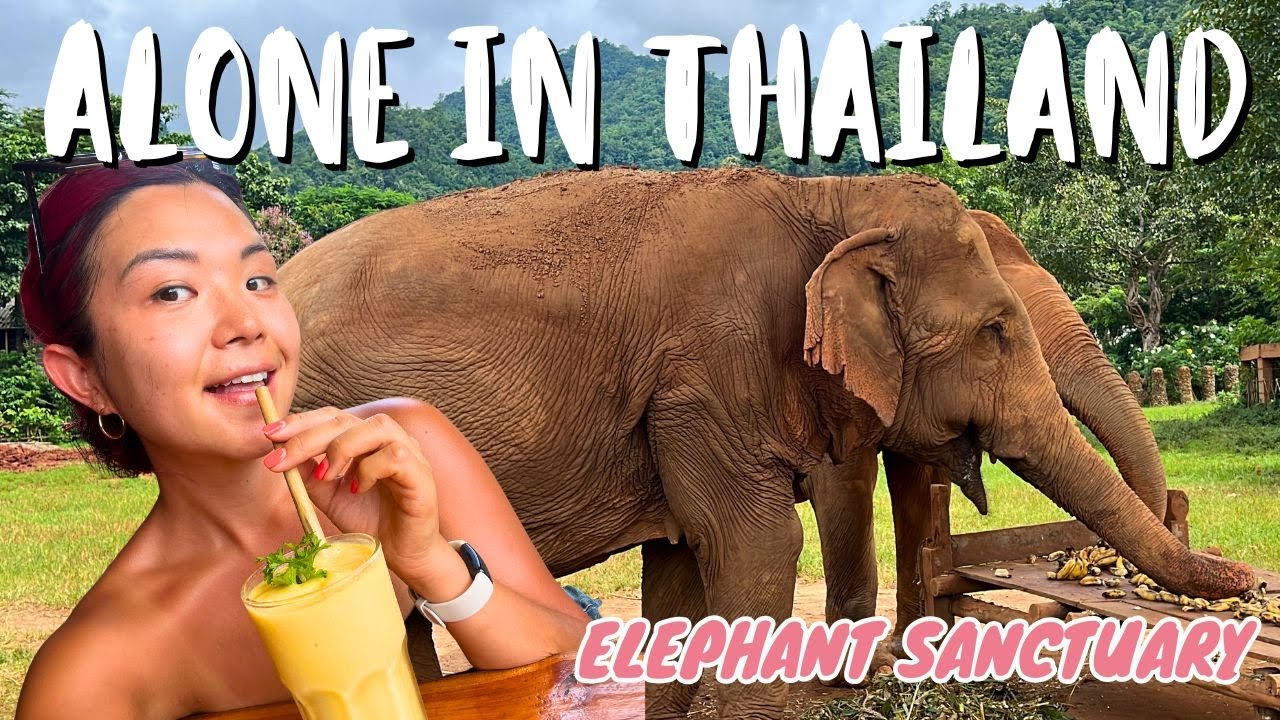 Weganizm w Tajlandii: ELEPHANT SANCTUARY, HOTEL W PEŁNI WEGAŃSKI + NAJLEPSZE wegańskie miasto w T...