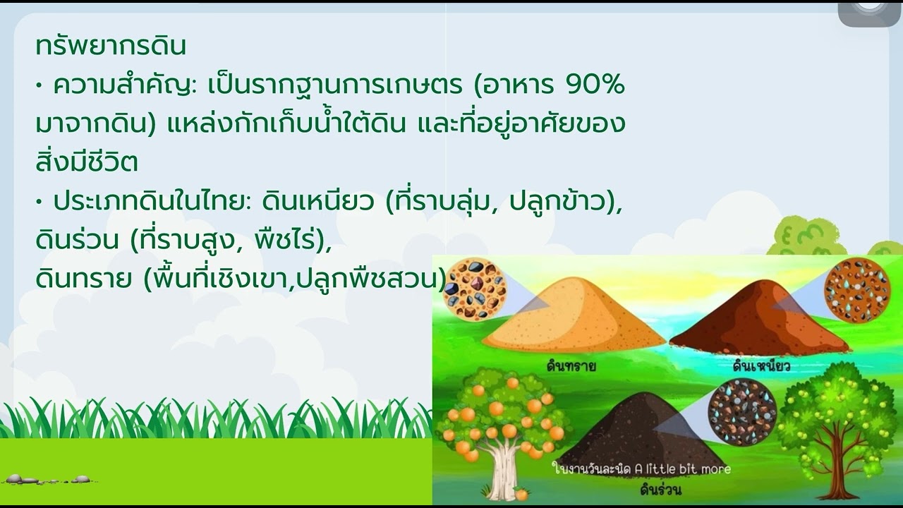 น้ำและดิน