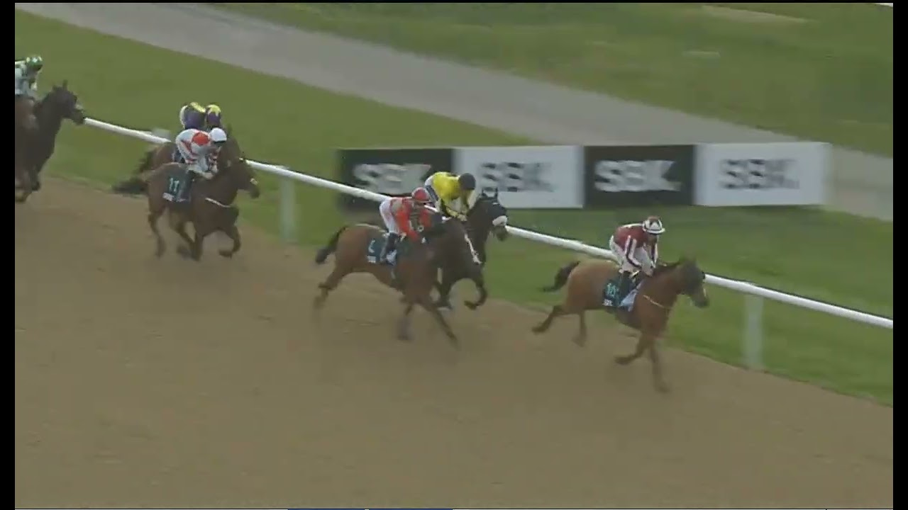  🇬🇧   RACE NO 3   WOLVERHAMPTON