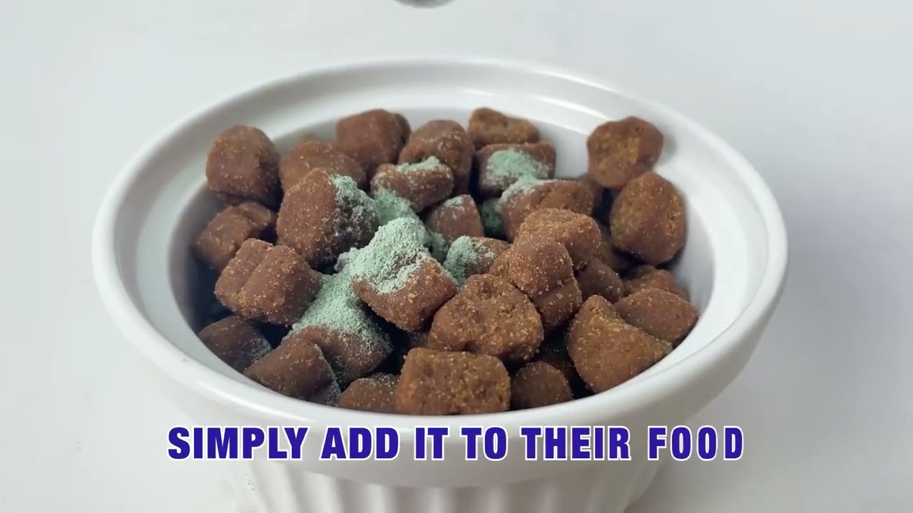 Watch Dog Dental Powder on Amazon Live