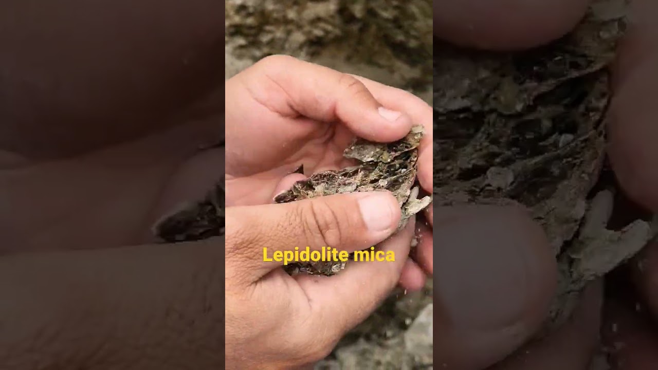 #lepidolite #mica #mine #lithium #youtubshorts