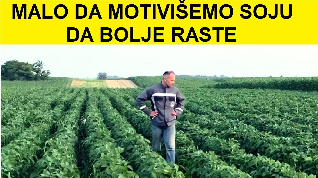 Prihrana soje preko lista