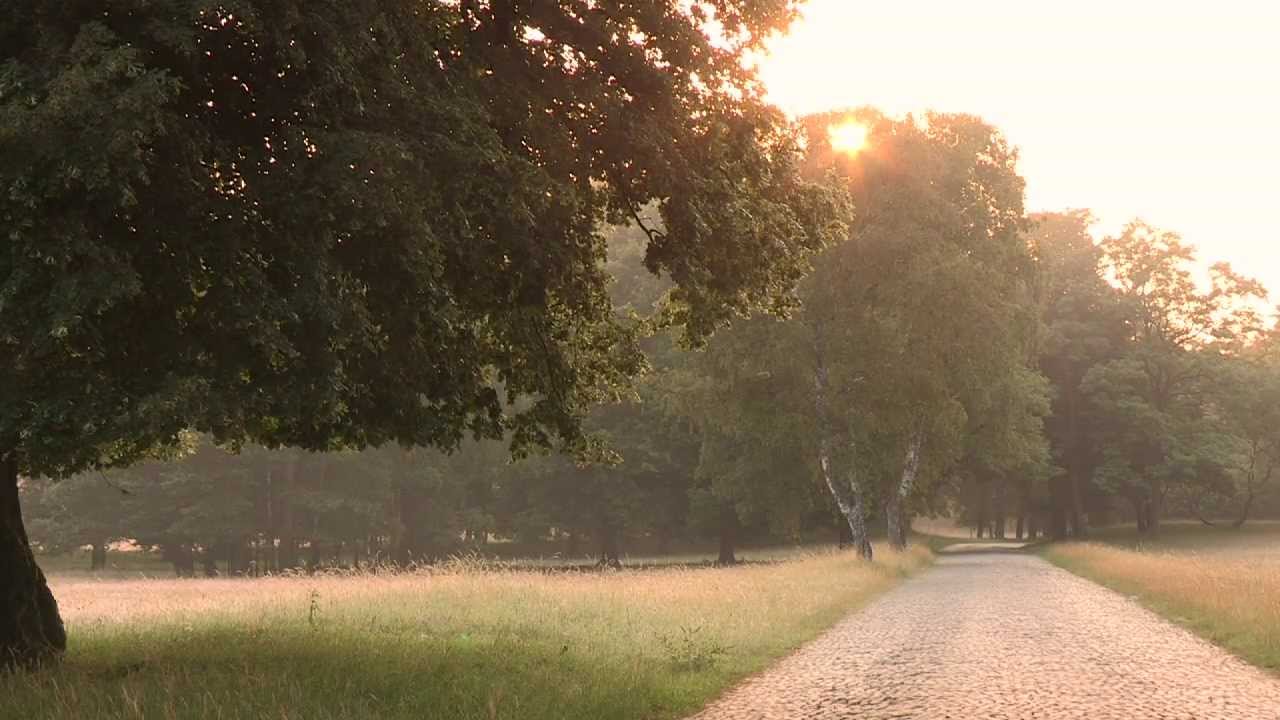 Die Senne - unsere Heimat