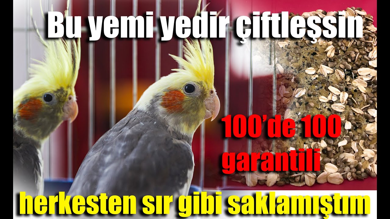 Sır gibi sakladığım 