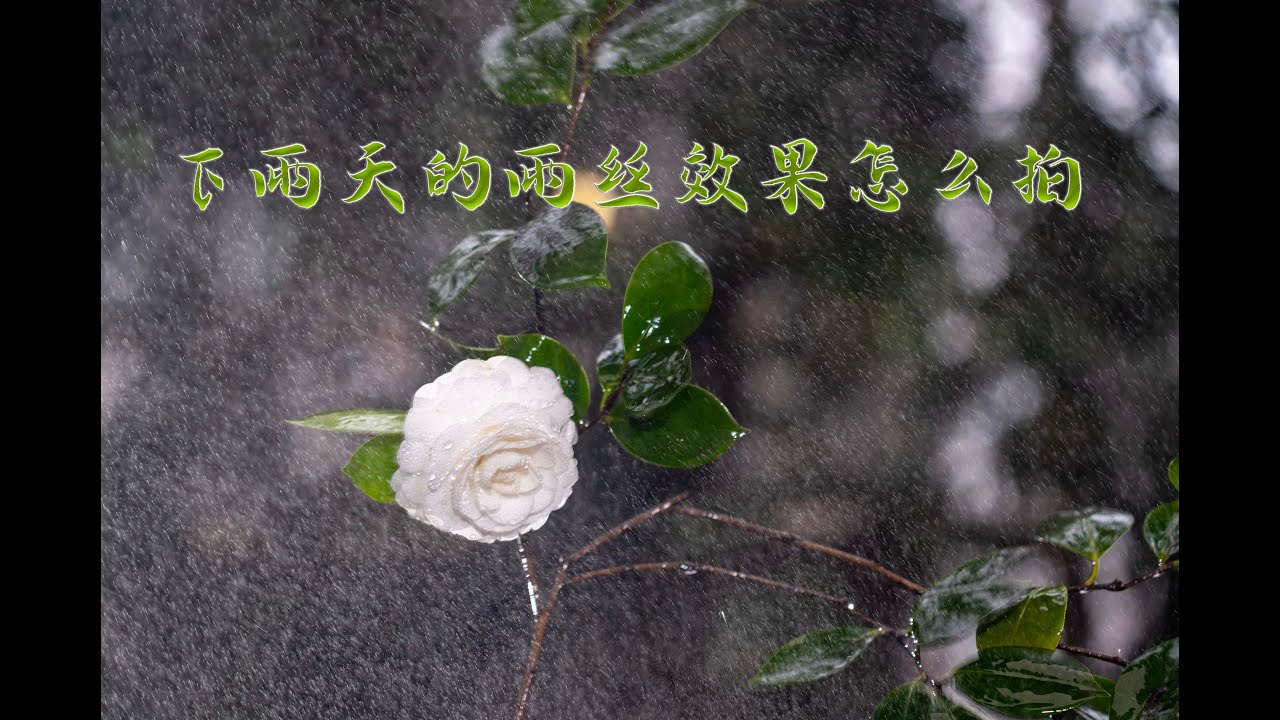 下雨天怎么拍雨丝 用常亮灯与闪光灯拍雨丝有什么不同 来看看吧