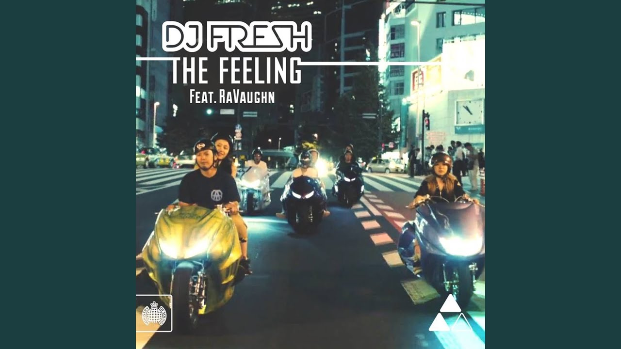 The Feeling (Metrik Remix)