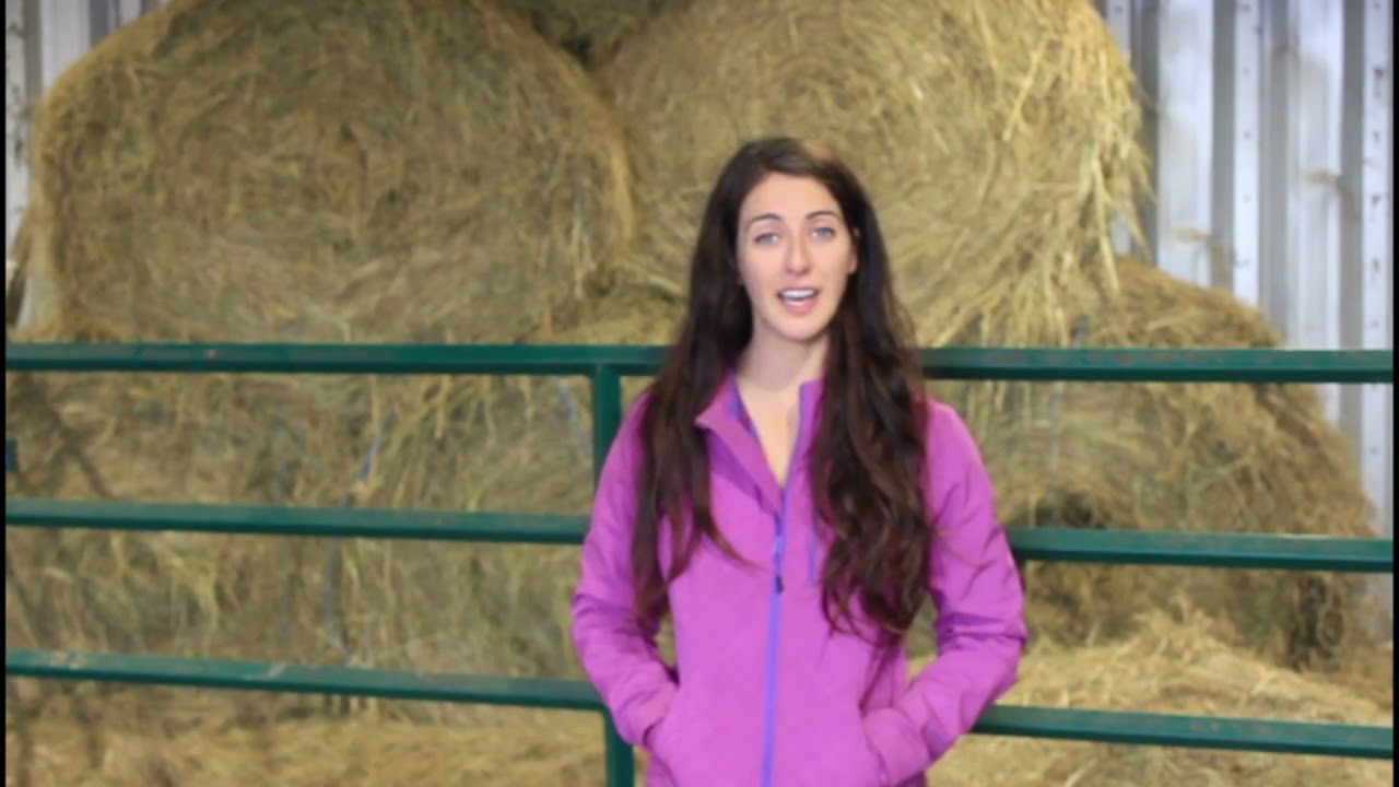 Llama-zing adventures - Small Businesses & Technology Video Series Canada By Lets Nurture