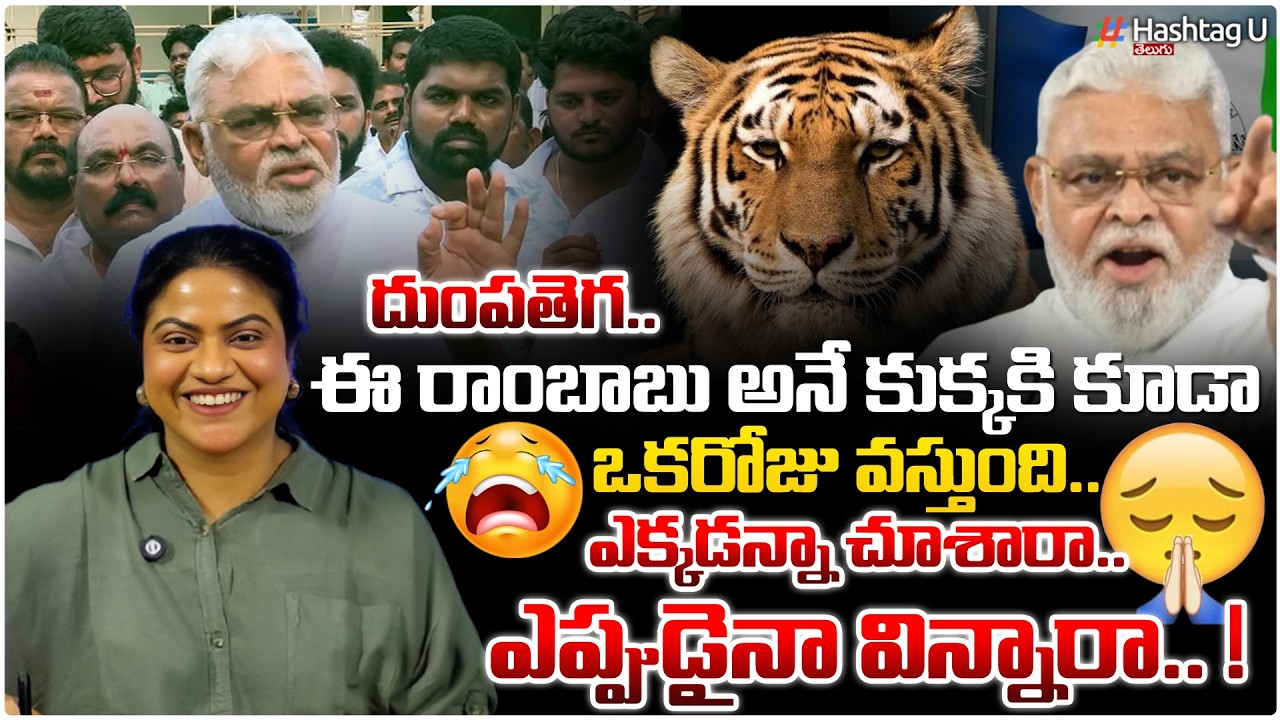 ఈ రాంబాబు అనే కుక్కకు ఒక రోజు వస్తుంది  | Common Voter  Satires On Ambati Press Meet| #YSRCP | #u