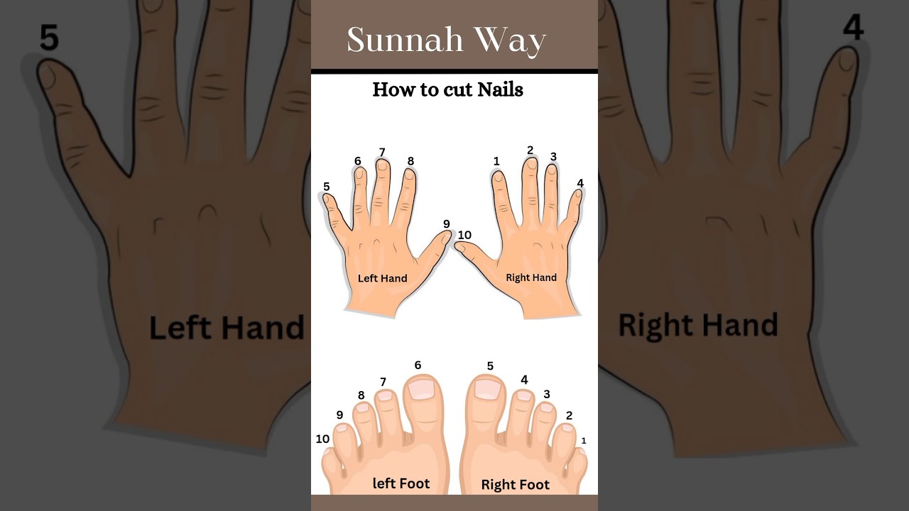 How to cut Nails according to Sunnah #nails #nailscutting #sunnah #muslim #prophetmuhammad #islam