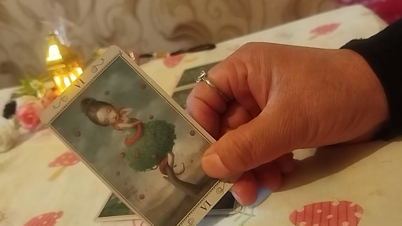Танга фоли тел 998508860639