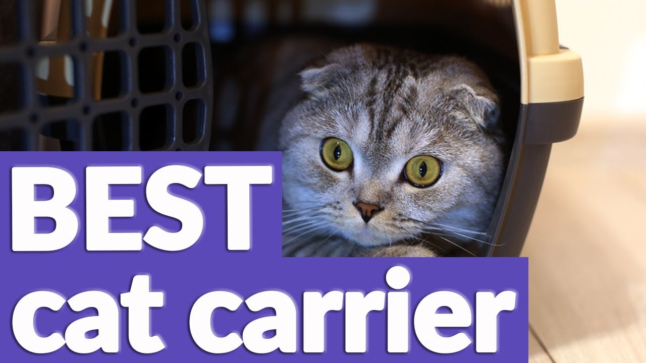 Best Cat Carrier in 2019 | 10 TOP RATED Cat Carriers