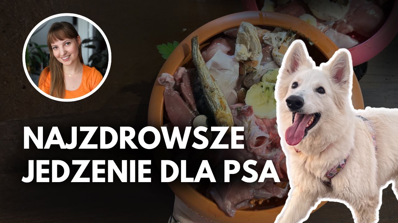 DLACZEGO TWÓJ PIES POWINIEN JEŚĆ DOMOWE POSIŁKI?