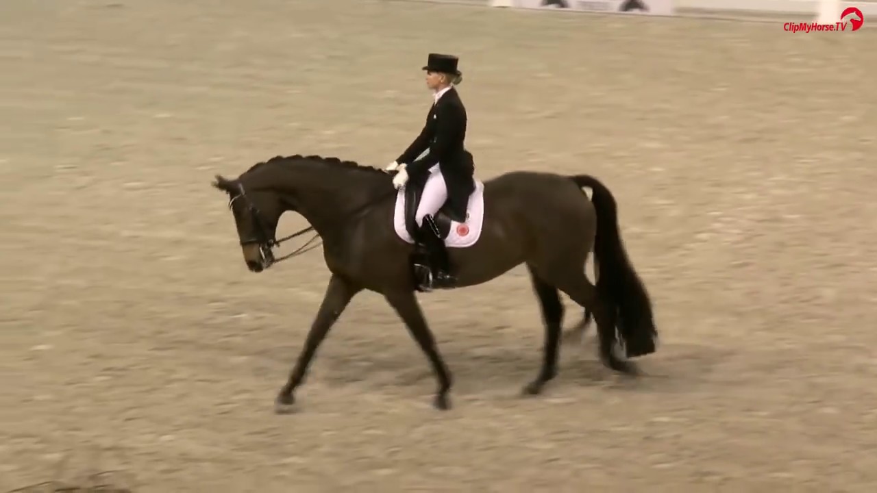 Jessica von Bredow-Werndl | TSF Dalera BB | Louisdor-Preis Finale | Festhallen Reitturnier 2017