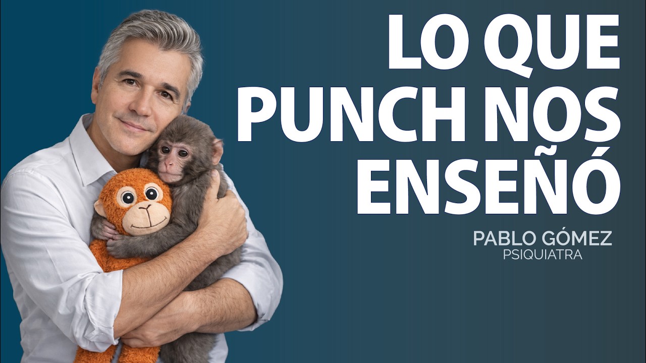 El Mono Punch y la ciencia del apego: lo que tu cerebro necesita para sentirse seguro - Pablo Gómez