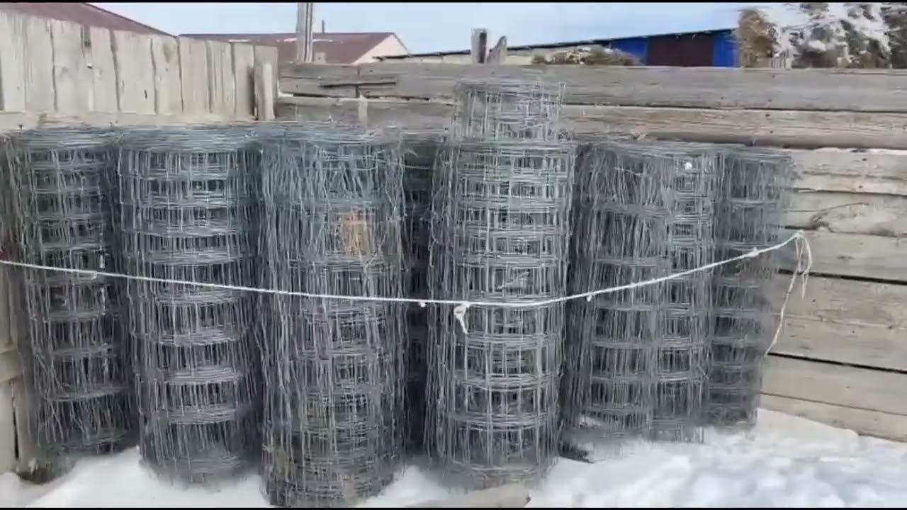 25 января 2026 г.