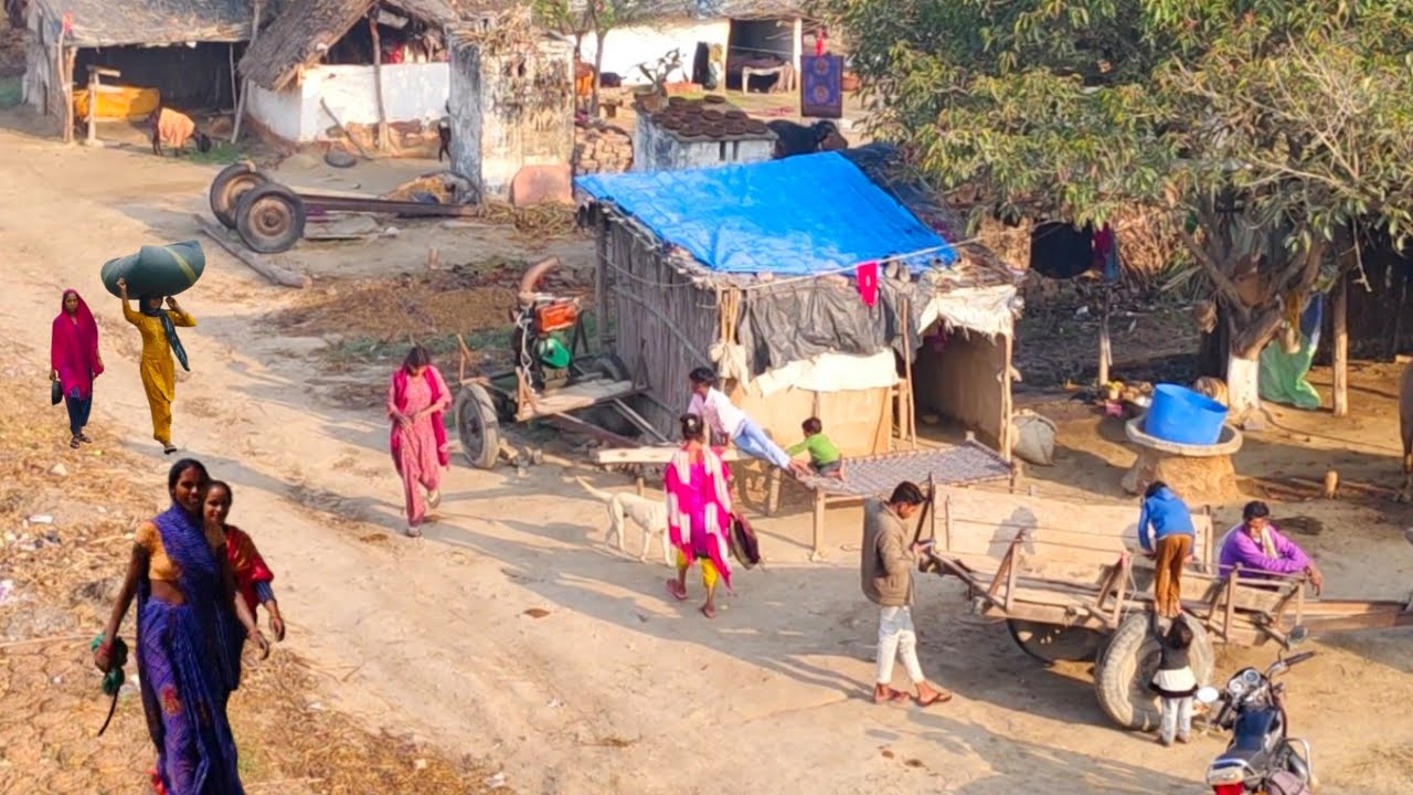 Natural Village Life India Up [] Uttar Pradesh Rural Life In india [] India Real Village Life 