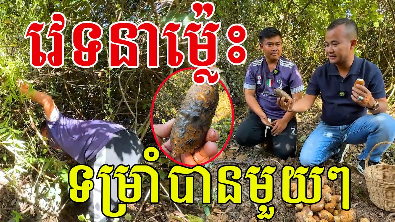ទម្រាំបានមួយៗ កាយភក់ផង លូនក្រាបក្នុងព្រៃផង