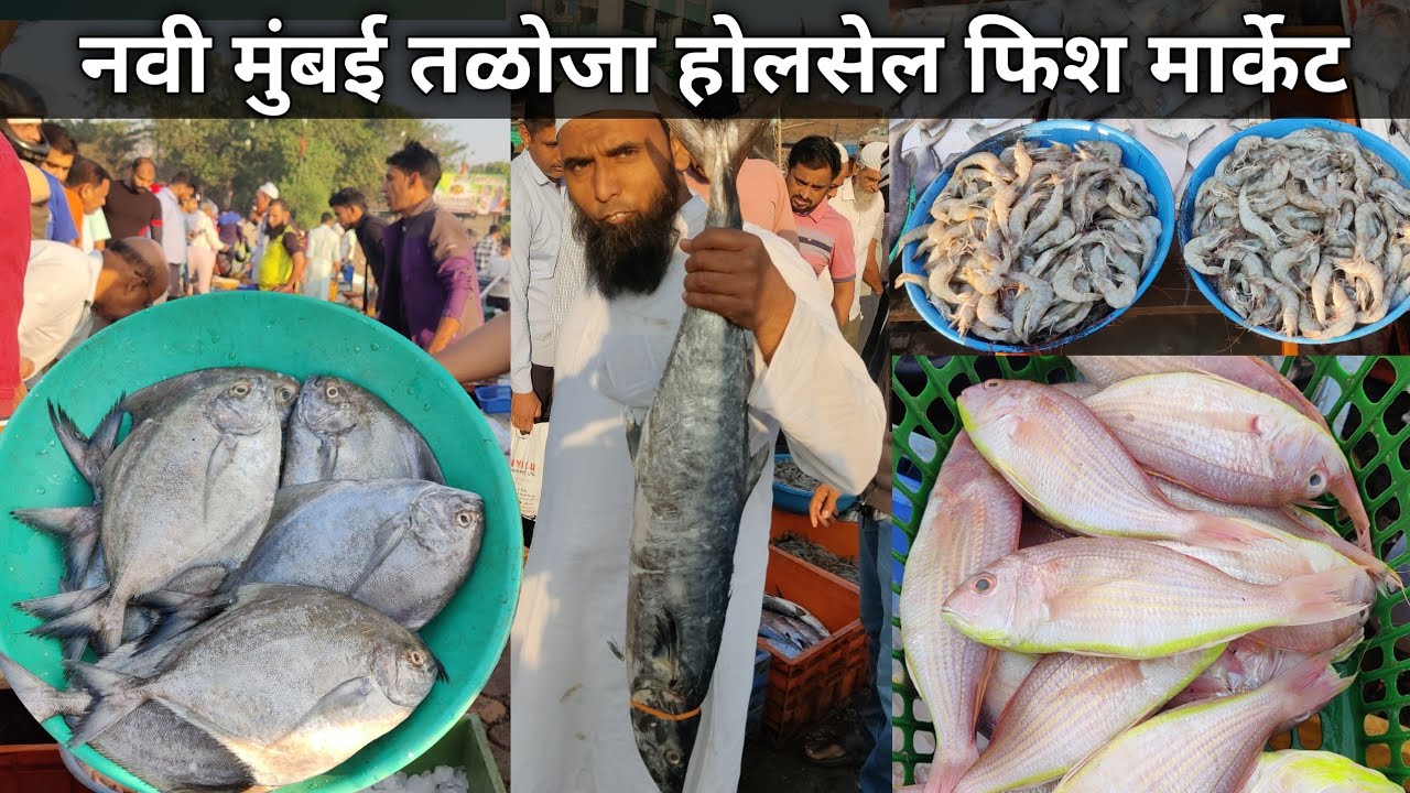 Mumbai Taloja Fish Market | Taloja Machhi Market | Taloja Wholesale Fish Market | Taloja Fish Market